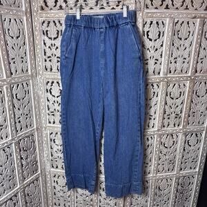 Everlane The Easy Jean Wide Leg High Rise Pull On Women's Size 2 Organic Cotton